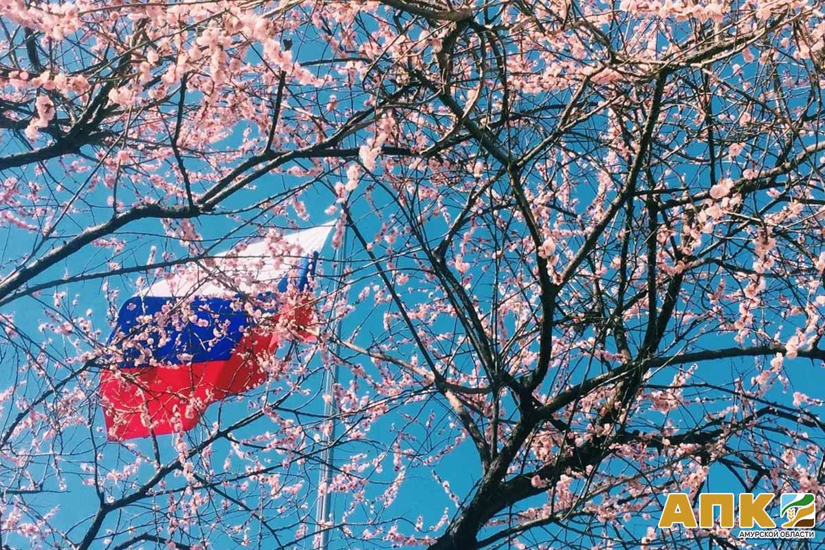 Japan russian. Россия и Япония. Флаг России и Японии. Российский и японский флаги. Флаг японской культуры в России.