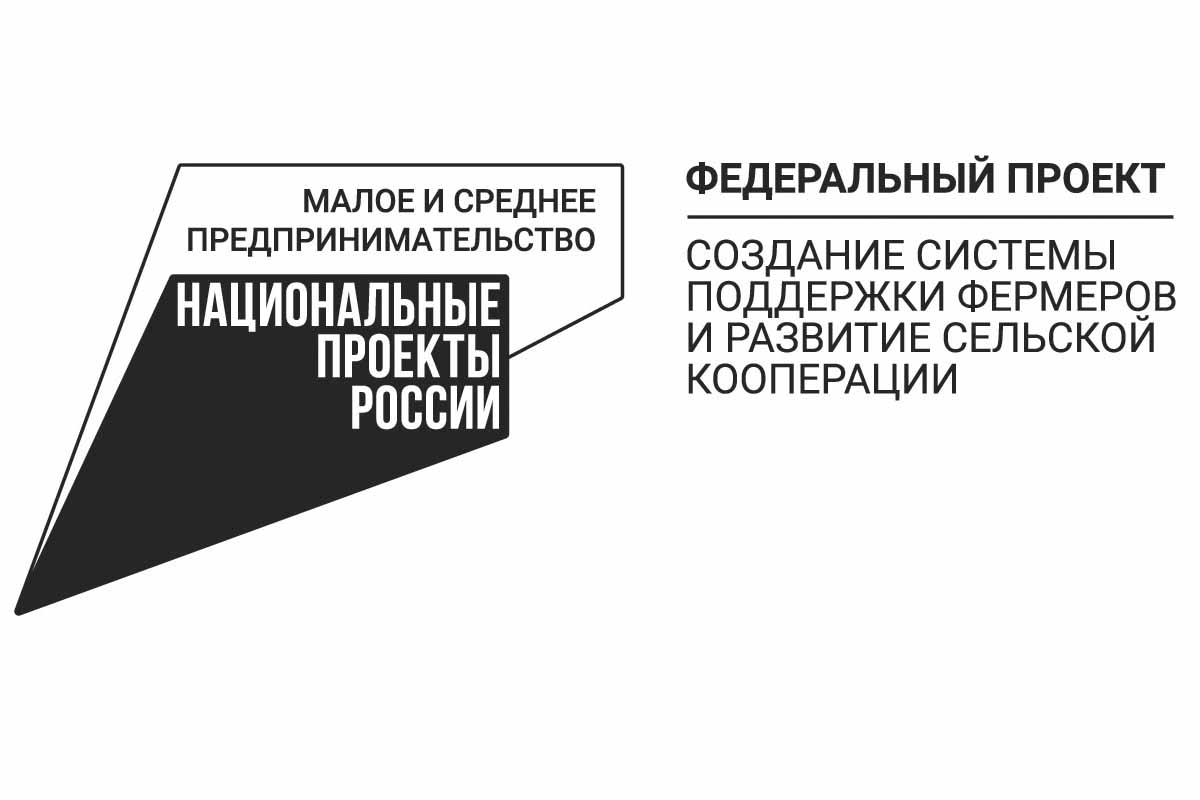 Федеральный проект развитие. Федеральный проект промышленный экспорт. Федеральный проект экспорт продукции АПК. Проект «экспорт продукции АПК». Федеральный проект экспорт продукции агропромышленного комплекса.